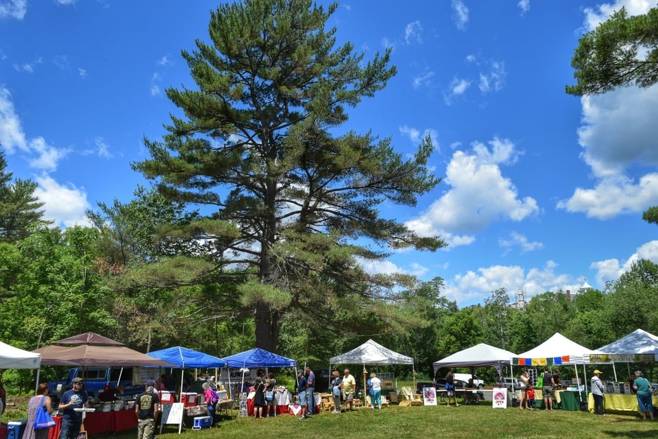 Littleton Farmers’ Market Opens for the 2017 Season!